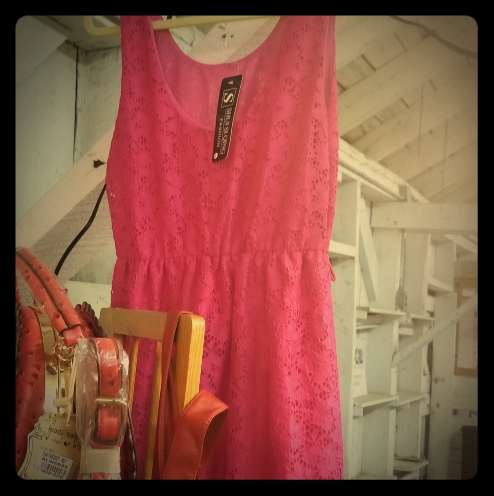 Pink Lacey Dress